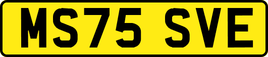 MS75SVE