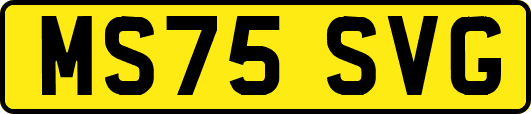 MS75SVG