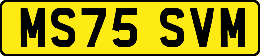 MS75SVM