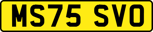 MS75SVO