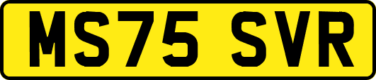 MS75SVR