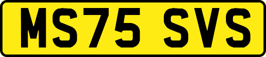 MS75SVS