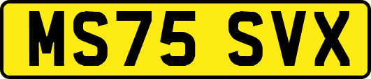 MS75SVX
