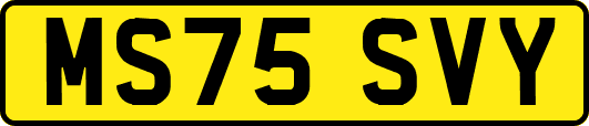 MS75SVY