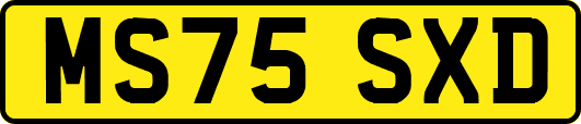 MS75SXD