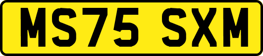 MS75SXM