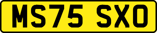 MS75SXO