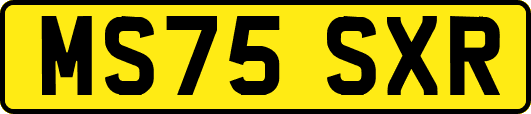 MS75SXR