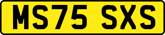 MS75SXS