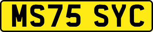 MS75SYC