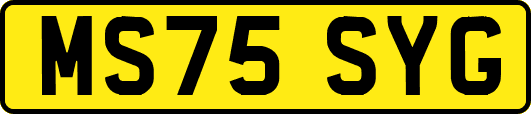 MS75SYG
