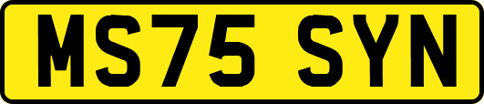 MS75SYN
