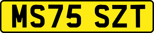 MS75SZT