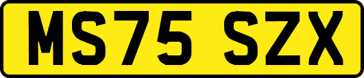 MS75SZX
