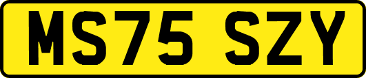 MS75SZY