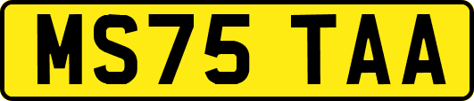 MS75TAA