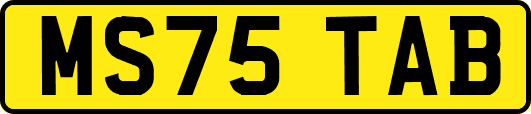 MS75TAB