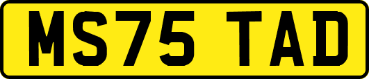 MS75TAD