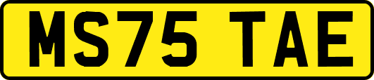 MS75TAE