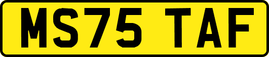 MS75TAF
