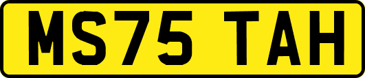 MS75TAH