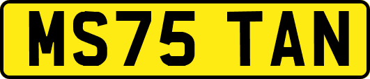 MS75TAN