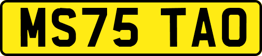 MS75TAO