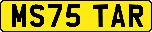 MS75TAR