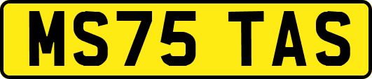 MS75TAS