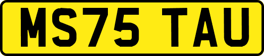 MS75TAU