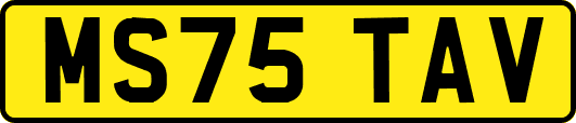 MS75TAV