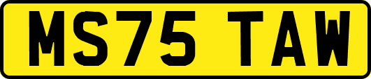 MS75TAW