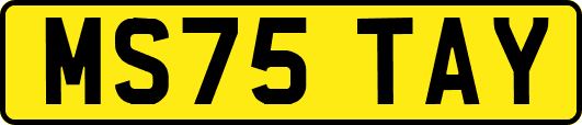 MS75TAY