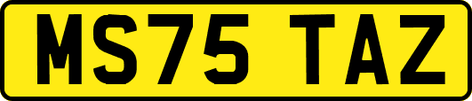 MS75TAZ