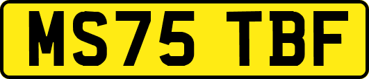 MS75TBF