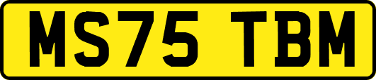 MS75TBM