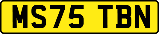 MS75TBN