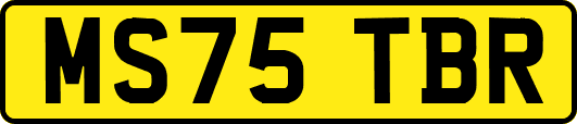 MS75TBR