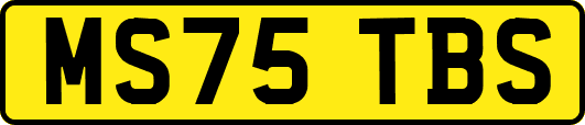 MS75TBS