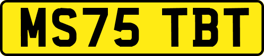 MS75TBT
