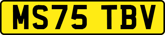 MS75TBV