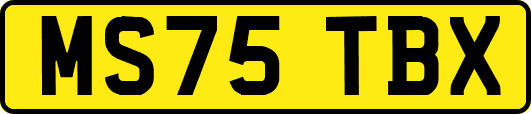 MS75TBX