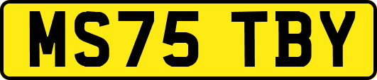 MS75TBY