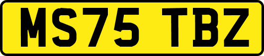 MS75TBZ