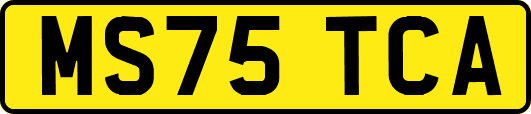 MS75TCA