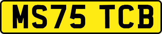 MS75TCB