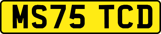 MS75TCD