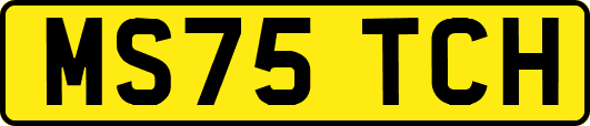 MS75TCH
