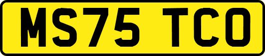 MS75TCO