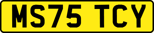 MS75TCY